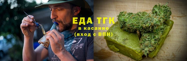 индика Алексин