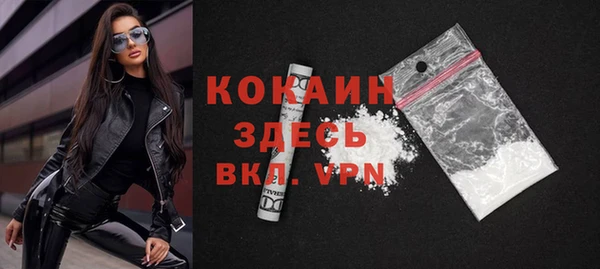 индика Алексин