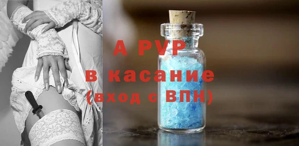 индика Алексин