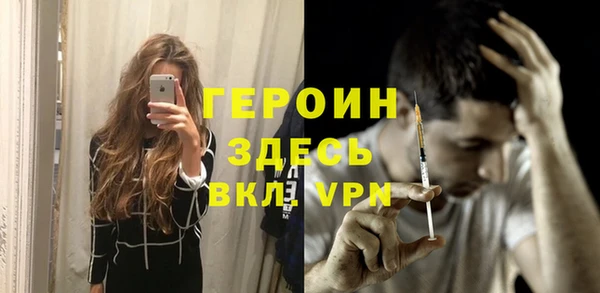 индика Алексин