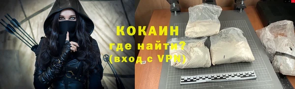 индика Алексин