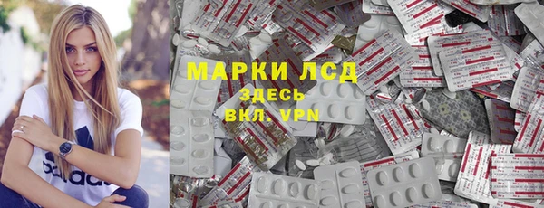 индика Алексин