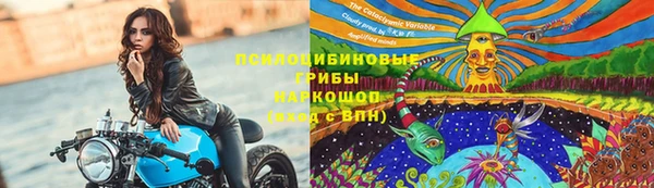 ПСИЛОЦИБИНОВЫЕ ГРИБЫ Алексеевка