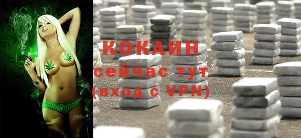индика Алексин