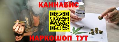 дмт Гай
