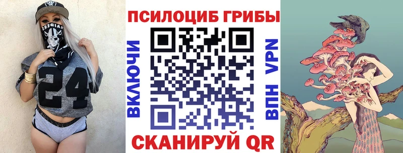 Псилоцибиновые грибы Psilocybe  Осинники 