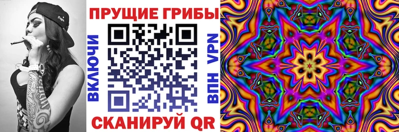 Псилоцибиновые грибы MAGIC MUSHROOMS Осинники